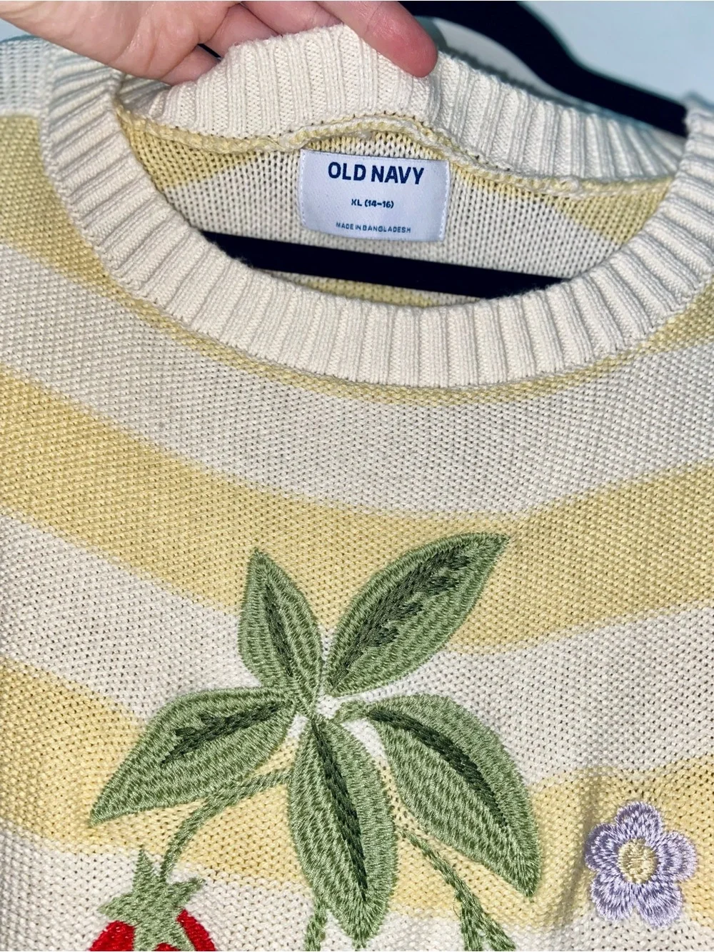 Old Navy Strawberry Stripe Sweater